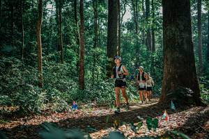 BIB: 
                            <button type="button" onclick="openModal(26130643)" class="btn btn-primary btn-sm float-right btn-popup" data-toggle="modal" data-target=".modal-high-quality">
                        <i class="fas fa-shopping-cart"></i> Add to Cart
                    </button>
                                            <button type="button" onclick="isThisMe(26130643, true)" class="btn btn-success btn-sm float-right btn-popup btn-isme hidden" data-toggle="tooltip" data-placement="bottom" title="นี่คือรูปของคุณใช่ไหม คลิกที่นี่เพื่อเอาเข้าอัลบั้ม">
                        <i class="fas fa-plus"></i> Add to album
                    </button>
                    <button type="button" onclick="isThisMe(26130643, false)" class="btn btn-warning btn-sm float-right btn-popup btn-isnotme hidden">
                        <i class="fas fa-ban"></i> Remove from album
                    </button>